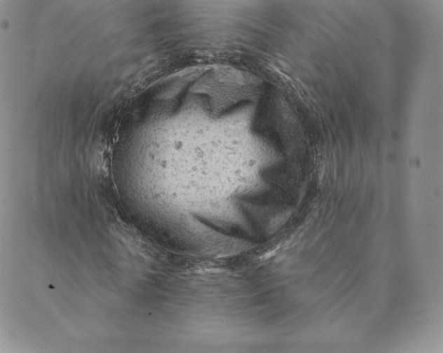 X0000088650770200706081637