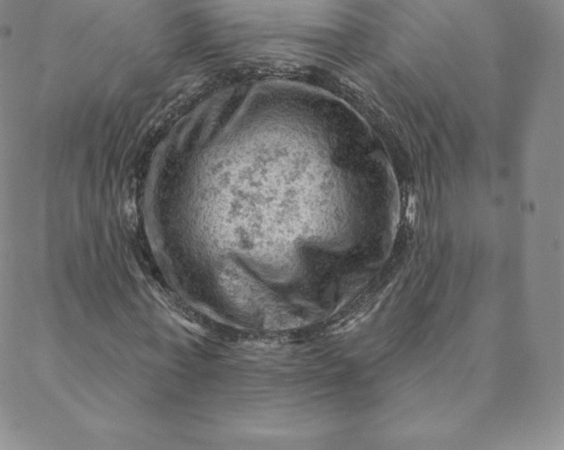 X0000088650771200706081637