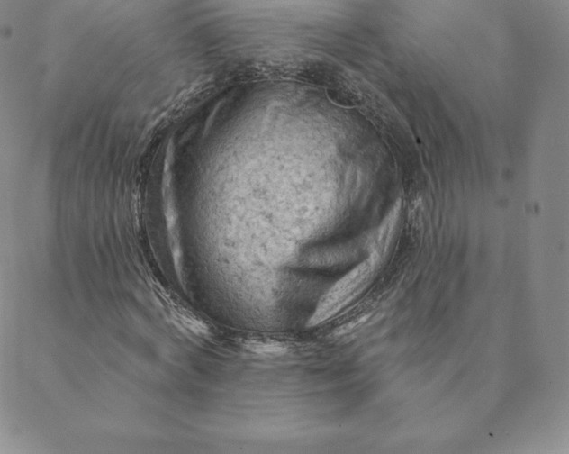 X0000088650772200706081637