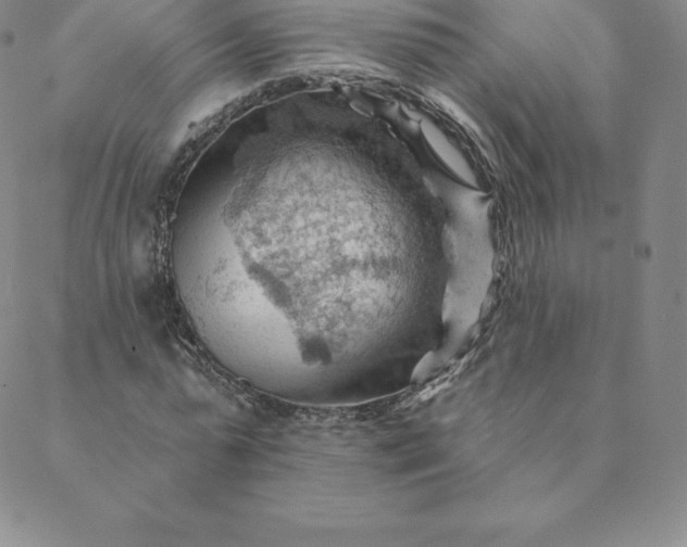 X0000088650775200706081636