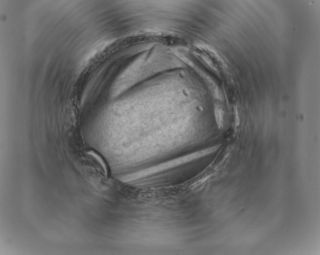 X0000088650776200706081636