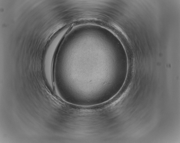 X0000088650777200706081636