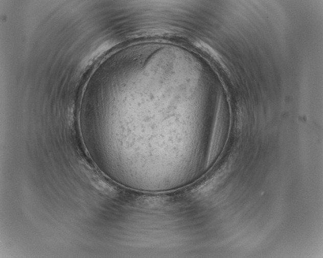 X0000088650778200706081636