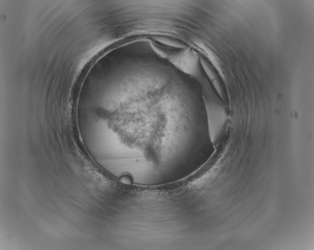 X0000088650779200706081636