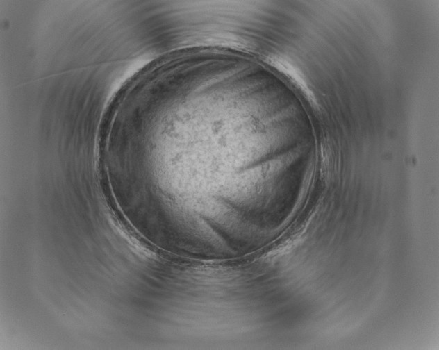 X0000088650780200706081636