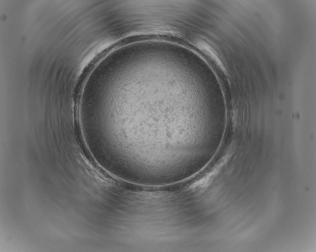 X0000088650781200706081636