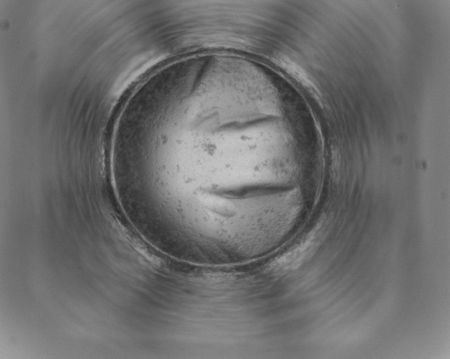 X0000088650782200706081636