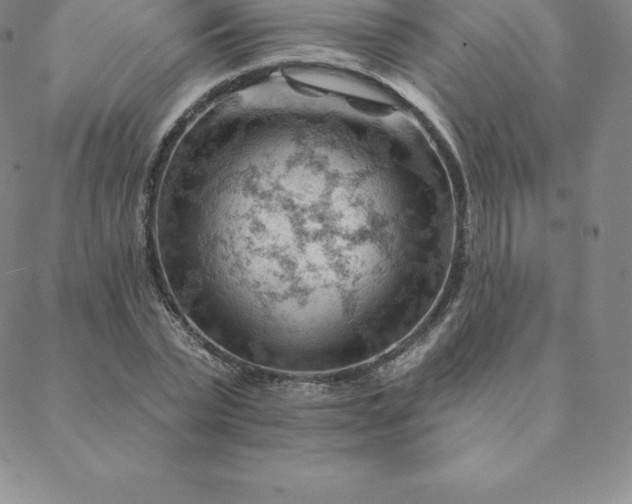 X0000088650783200706081636