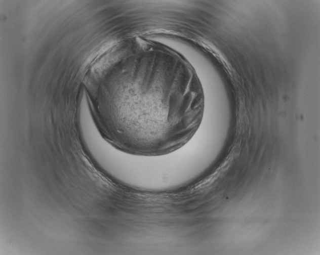 X0000088650785200706081636