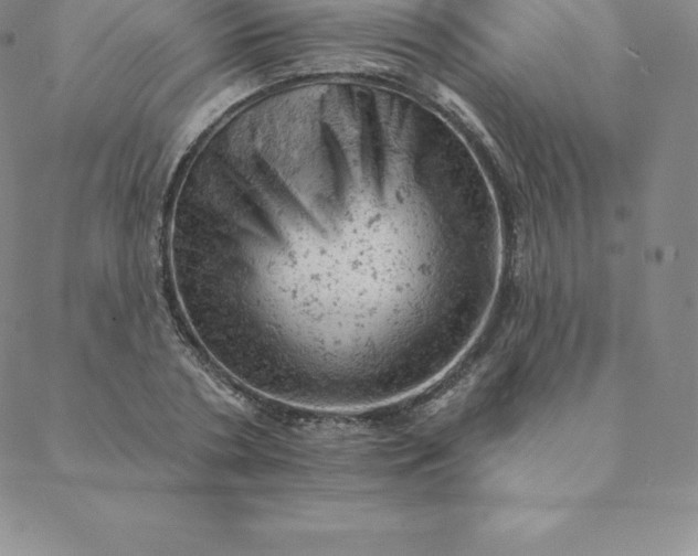 X0000088650786200706081636