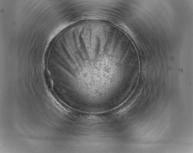 X0000088650787200706081636