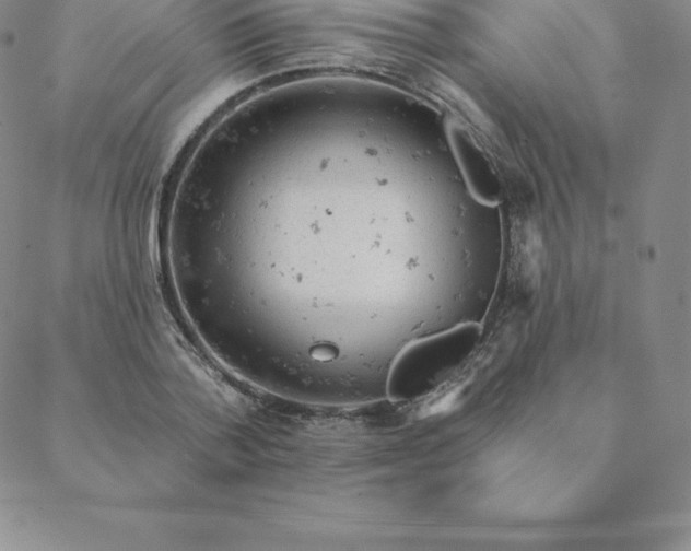 X0000088650788200706081636