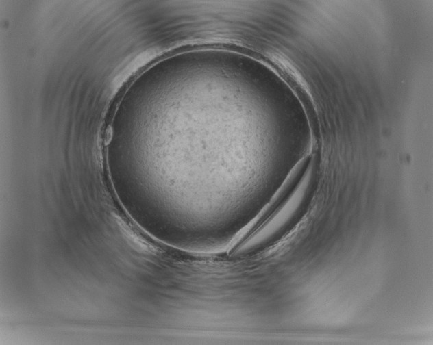 X0000088650789200706081636