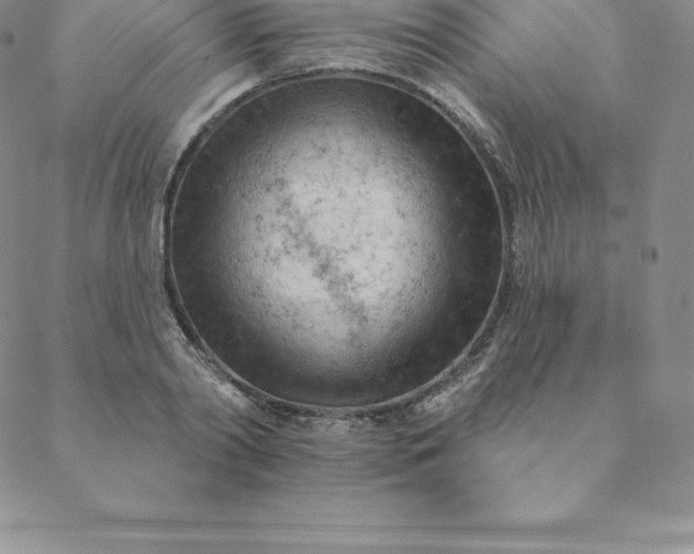 X0000088650790200706081636