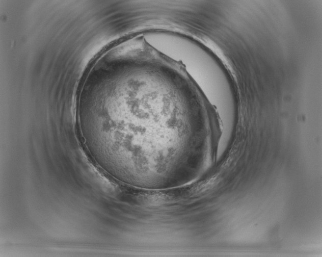 X0000088650791200706081636