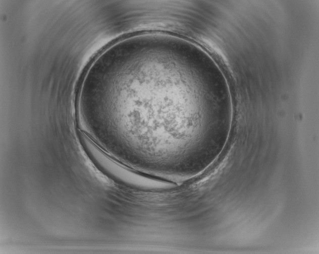 X0000088650792200706081636