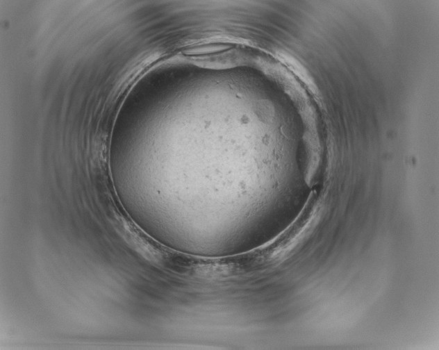 X0000088650793200706081636