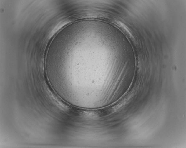 X0000088650794200706081636