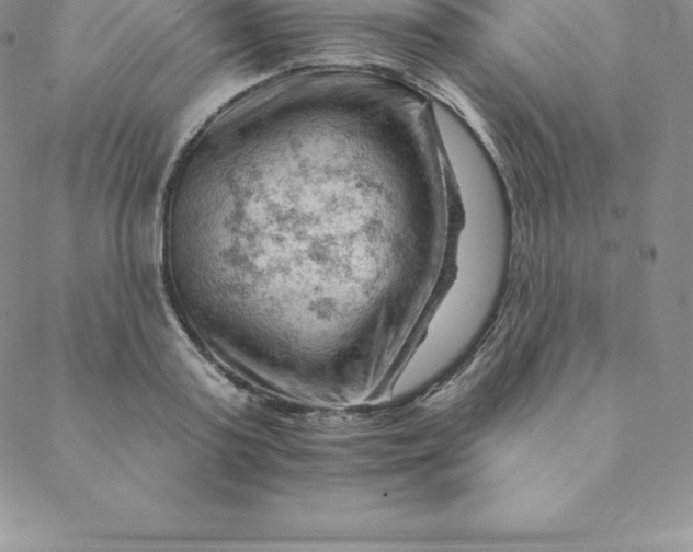 X0000088650795200706081636