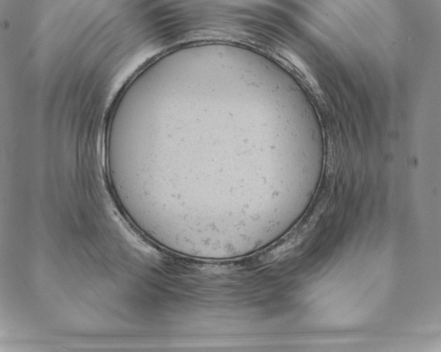 X0000088650796200706081636