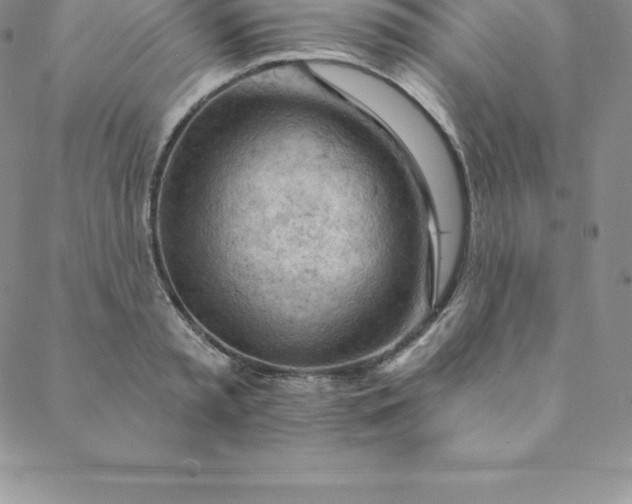 X0000088650797200706081636