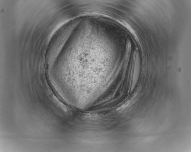 X0000088650799200706081636