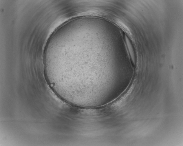 X0000088650800200706081636