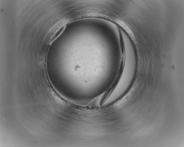 X0000088650801200706081636