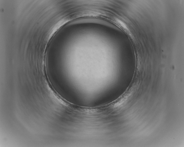 X0000088650802200706081636