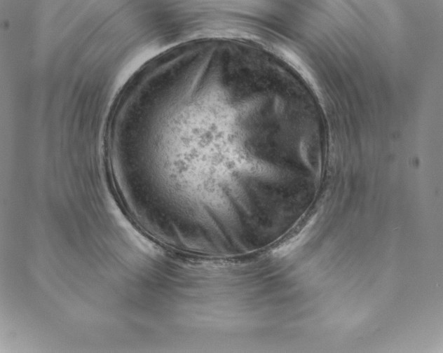 X0000088650803200706081636