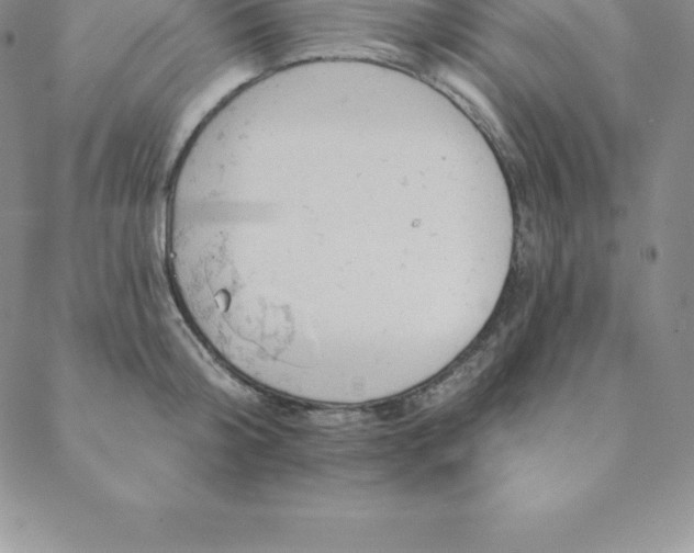 X0000088650804200706081636