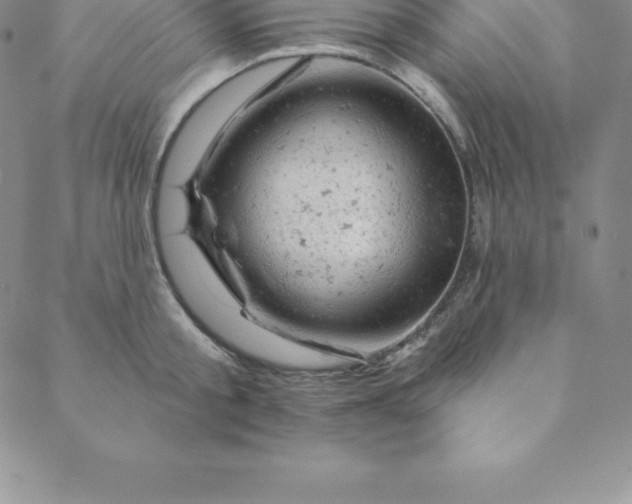 X0000088650805200706081636