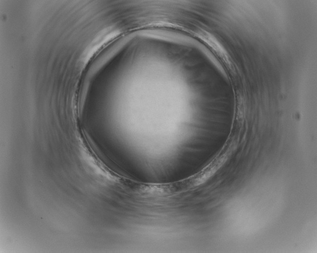 X0000088650806200706081636