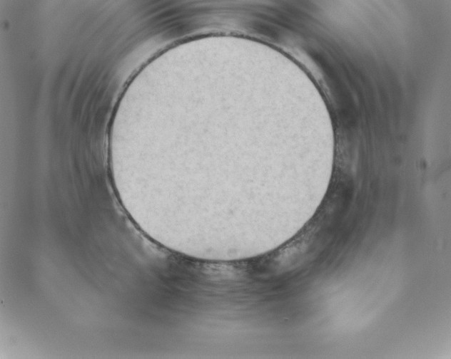 X0000088650807200706081636