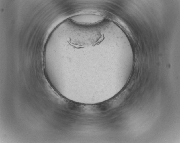 X0000088650808200706081636