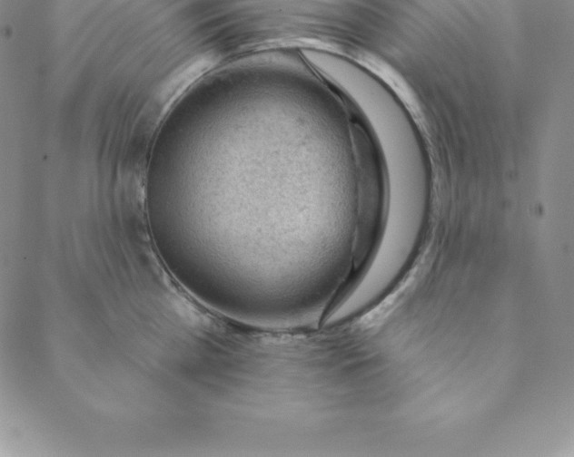 X0000088650809200706081636