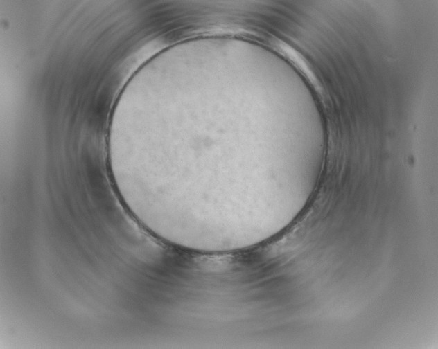 X0000088650810200706081636