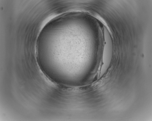 X0000088650811200706081636