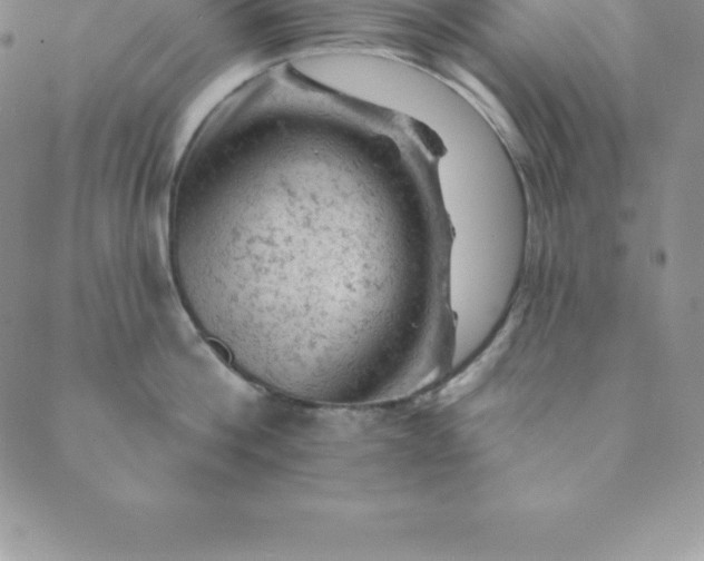 X0000088650812200706081636