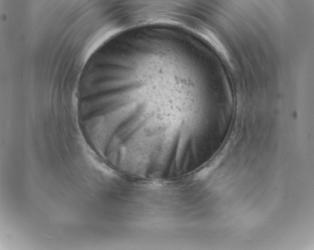 X0000088650814200706081636