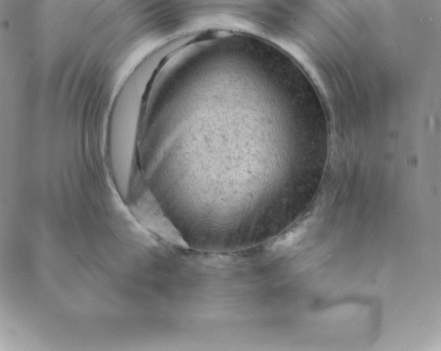 X0000088650815200706081636