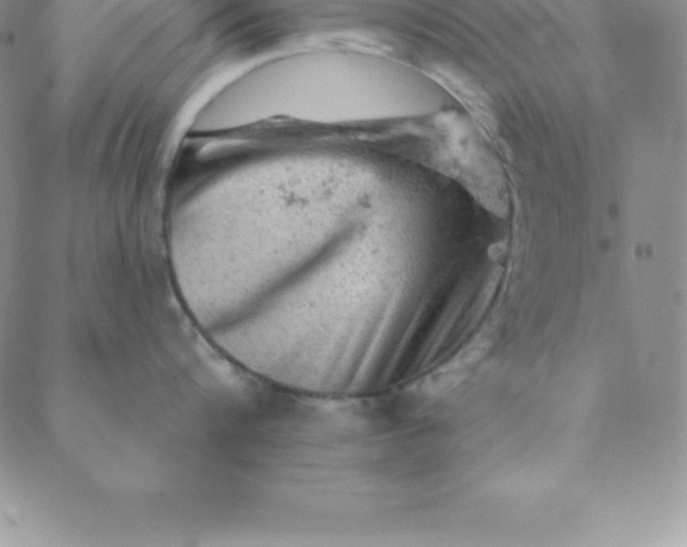 X0000088650816200706081636