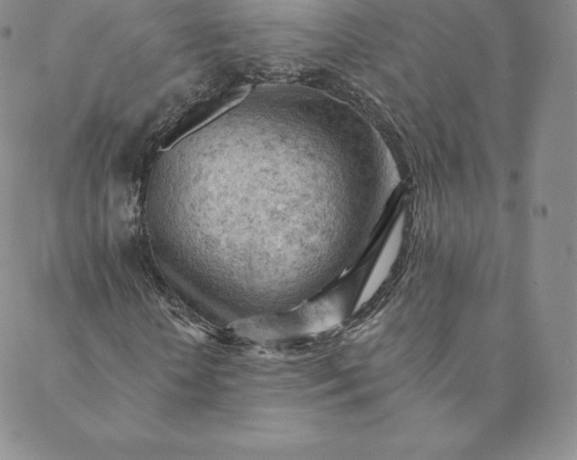 X0000088650818200706081635