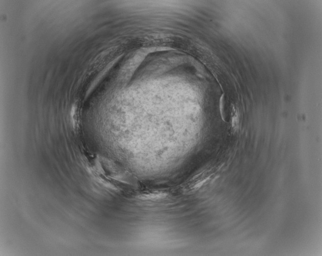 X0000088650819200706081635