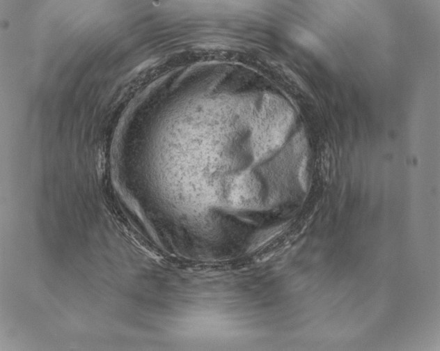 X0000088650821200706081635