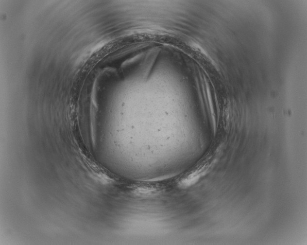 X0000088650822200706081635