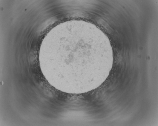 X0000088650824200706081635