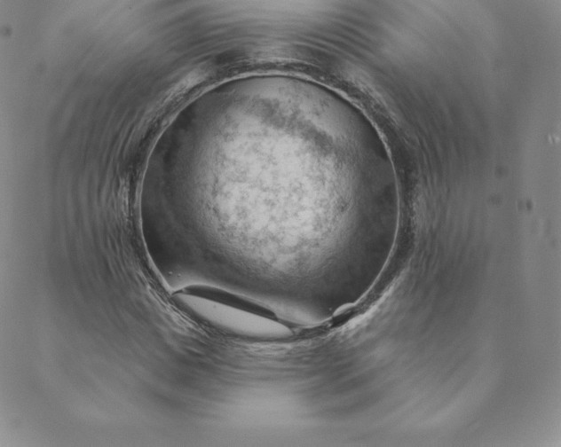 X0000088650825200706081635