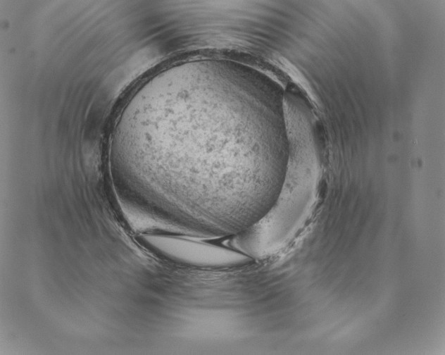 X0000088650826200706081635