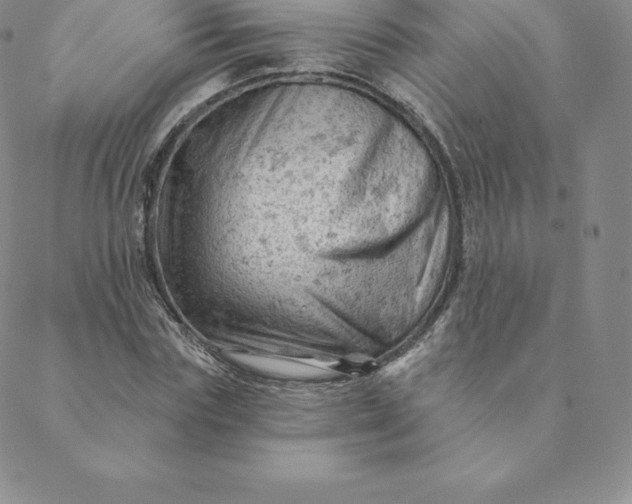 X0000088650827200706081635